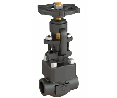 forged globe valve