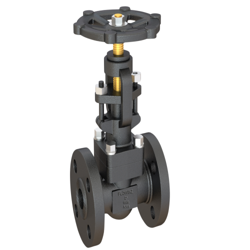 forged globe valve manufacturer india - Flowbiz