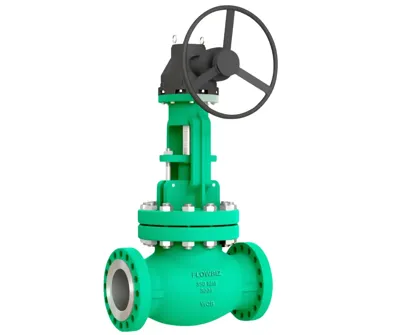 cs globe valve
