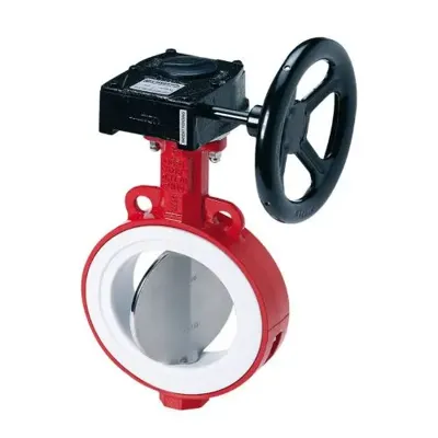 PTFE & PFA Lined Butterfly Valve