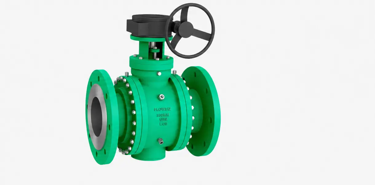 FlowBiz Exports — industrial valve manufacturer