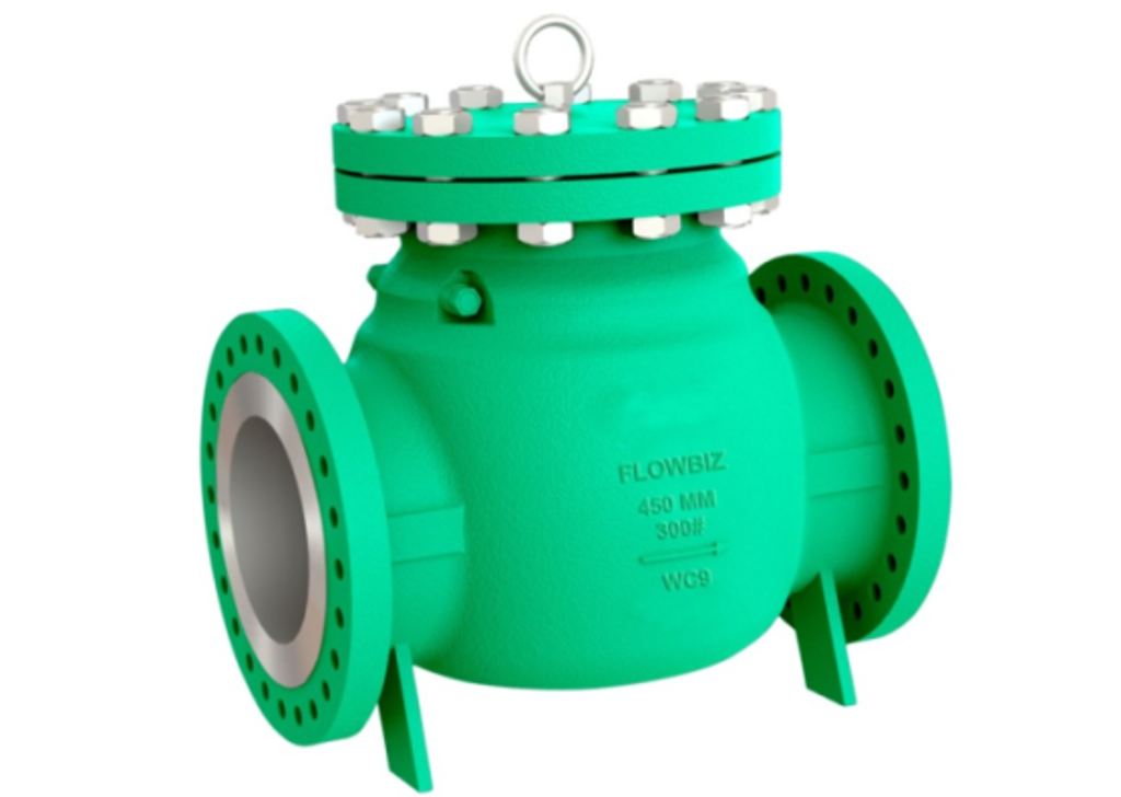 Cast check valve product example from FlowBiz Exports